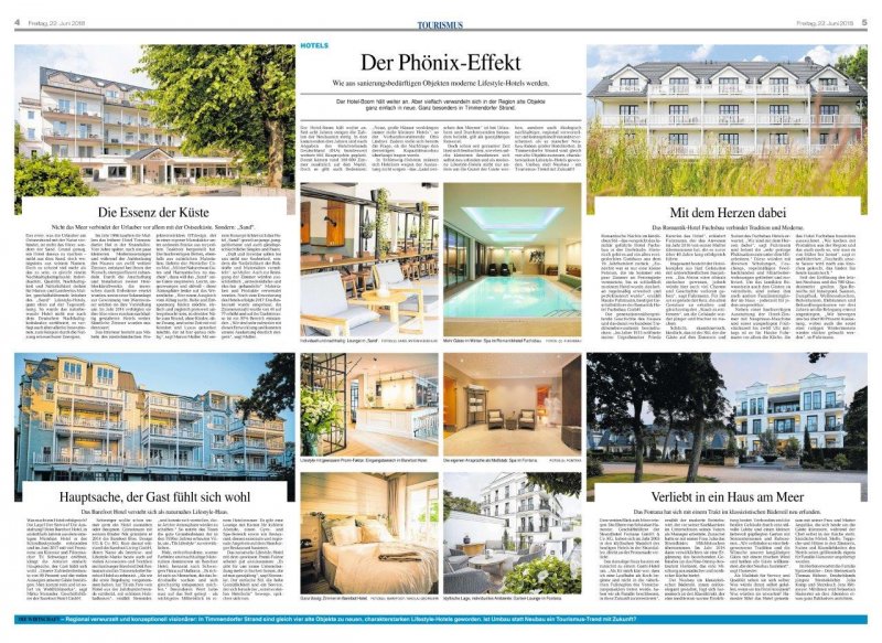 Artikel in den Artikel in den