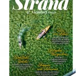 Vorheriger Artikel